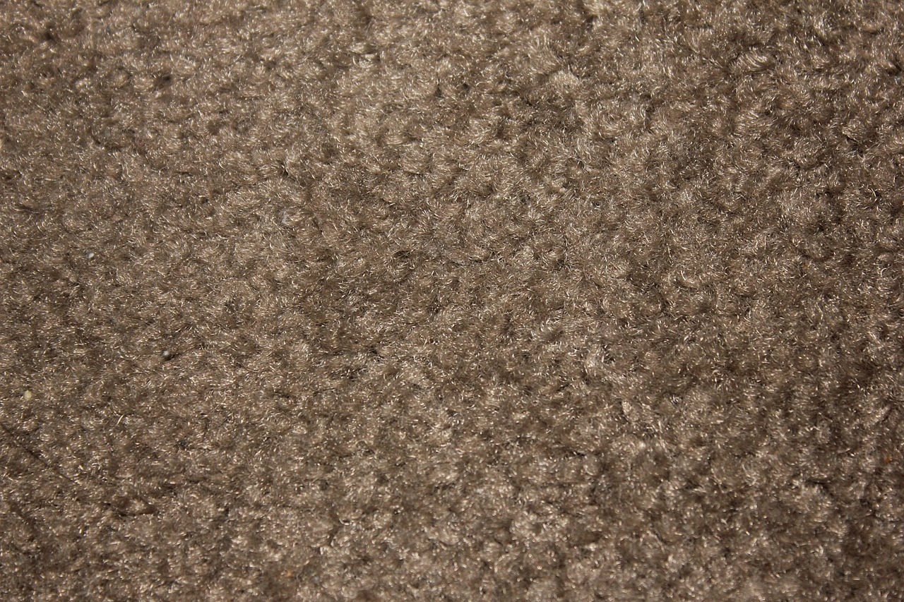 Close-up of carpet fibers and texture