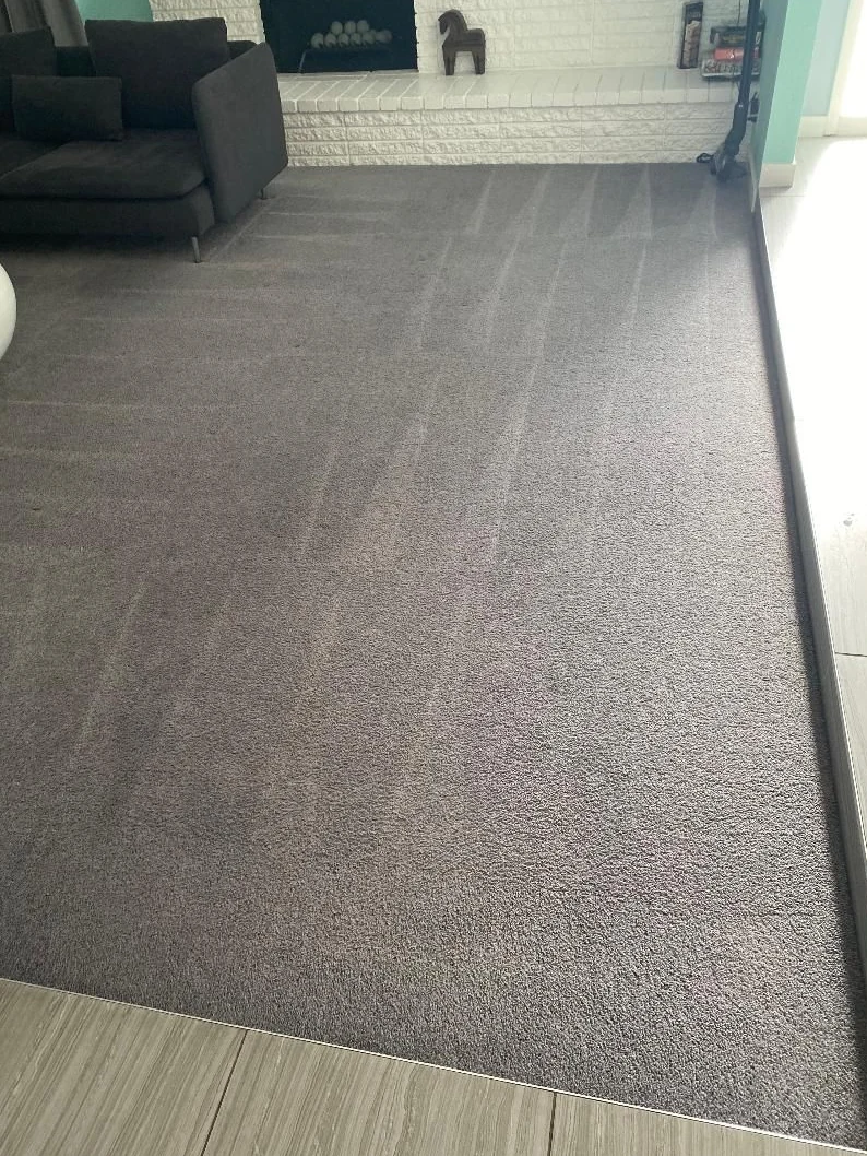 Carpet cleaning lines beside a sofa
