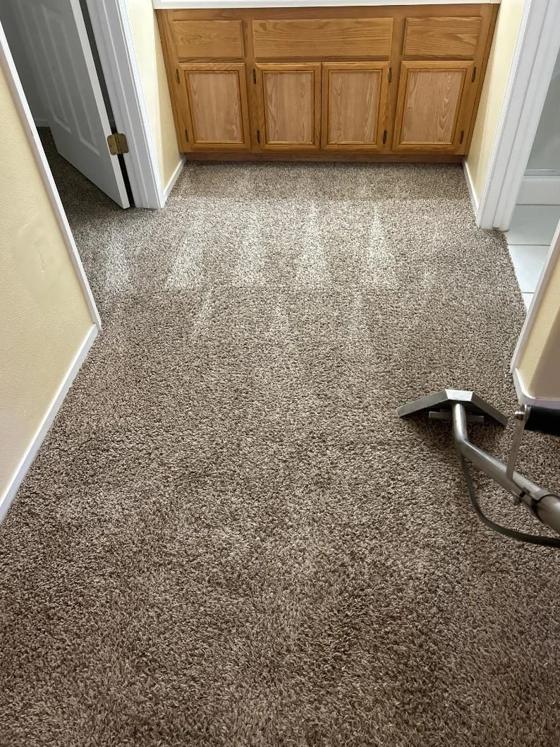 Carpet cleaning wand in a doorway